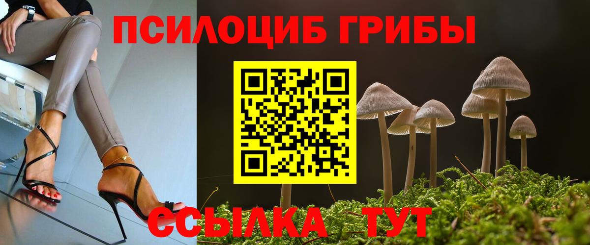 Чебоксары  Псилоцибиновые грибы GOLDEN TEACHER  Псилоцибиновые грибы Psilocybe  Вход с VPN 